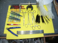 Vignette pour l'image de la liste principale