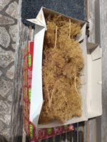 Vignette pour l'image de la liste principale