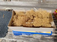 Vignette pour l'image de la liste principale