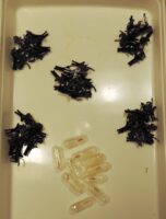 Vignette pour l'image de la liste principale